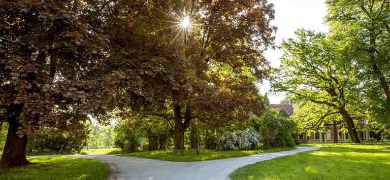 Image of a forked path in the road