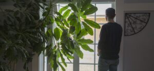 A man looking out the window next to a large plant.