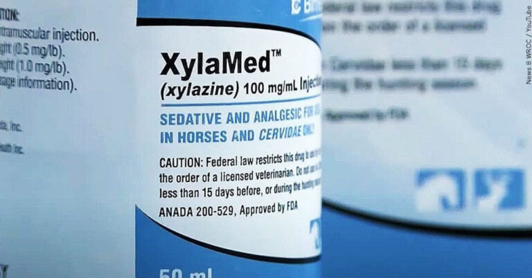 What Is Tranq? The Dangers and Effects of Xylazine